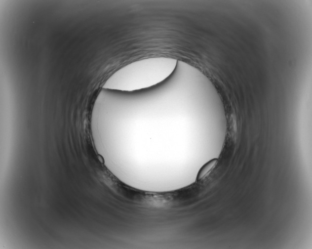 X0000086240522200703291008