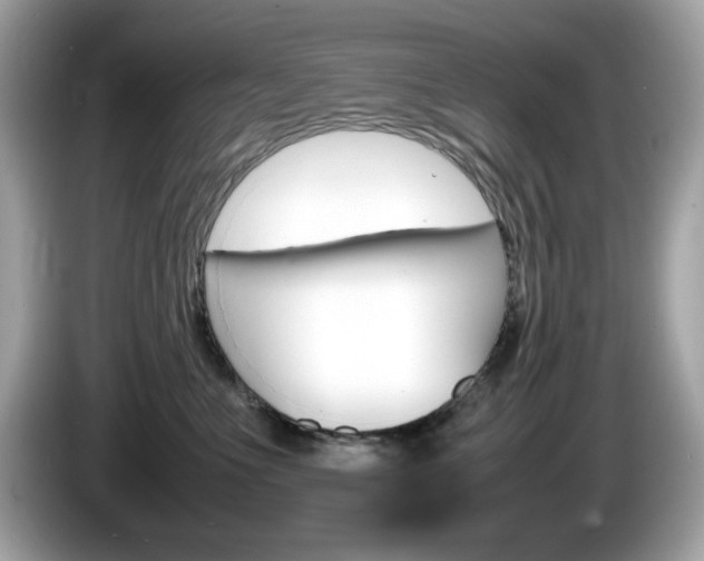 X0000086240523200703291008