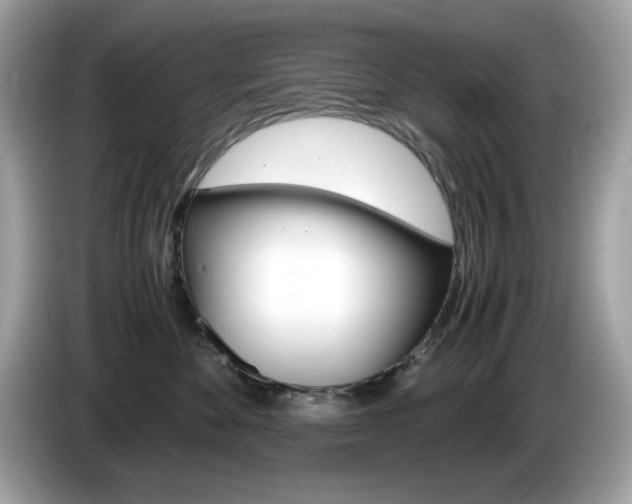 X0000086240524200703291008