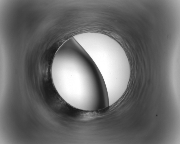 X0000086240525200703291008