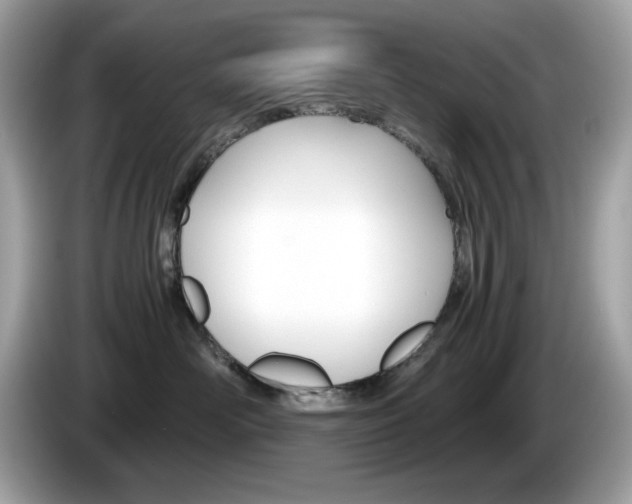 X0000086240526200703291008