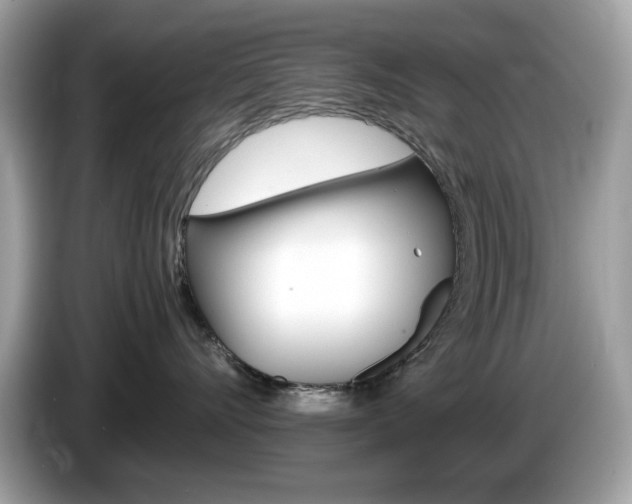 X0000086240528200703291008