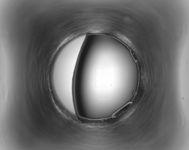 X0000086240530200703291007