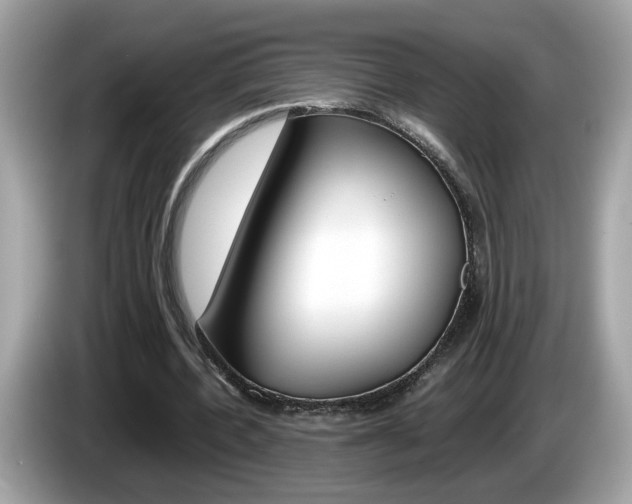 X0000086240532200703291007