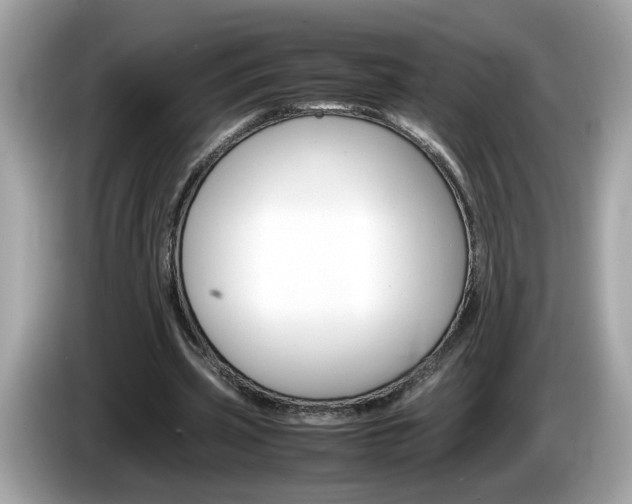 X0000086240533200703291007