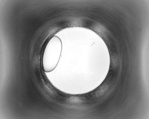 X0000086240534200703291007