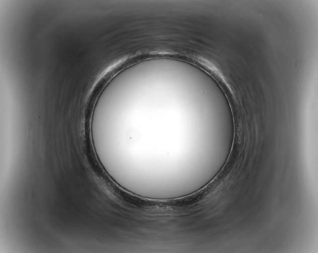 X0000086240535200703291007