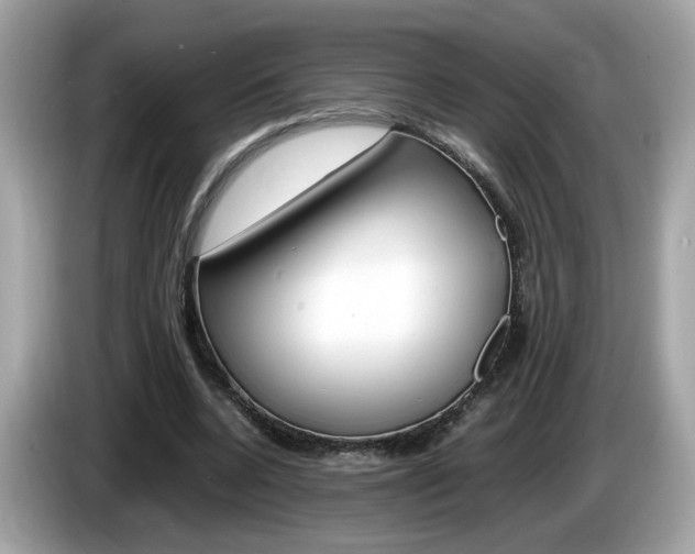 X0000086240536200703291007