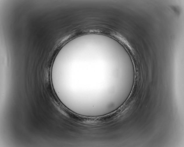 X0000086240537200703291007