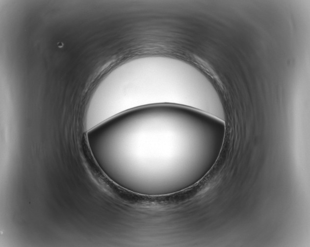 X0000086240538200703291007