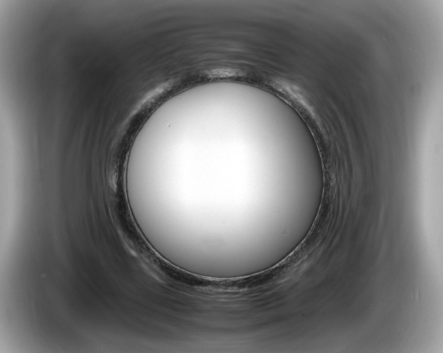 X0000086240539200703291007