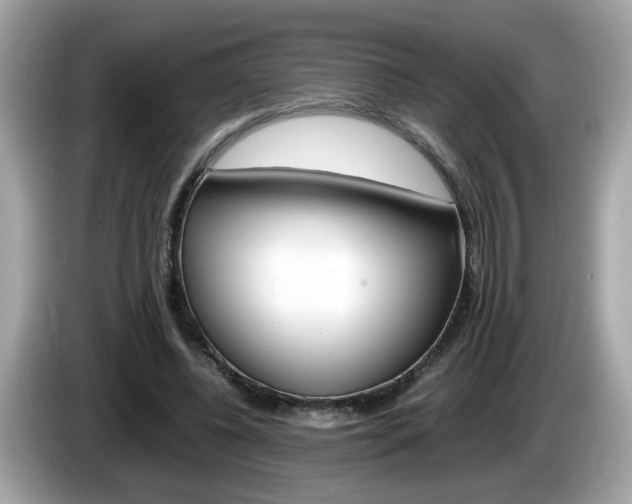 X0000086240540200703291007