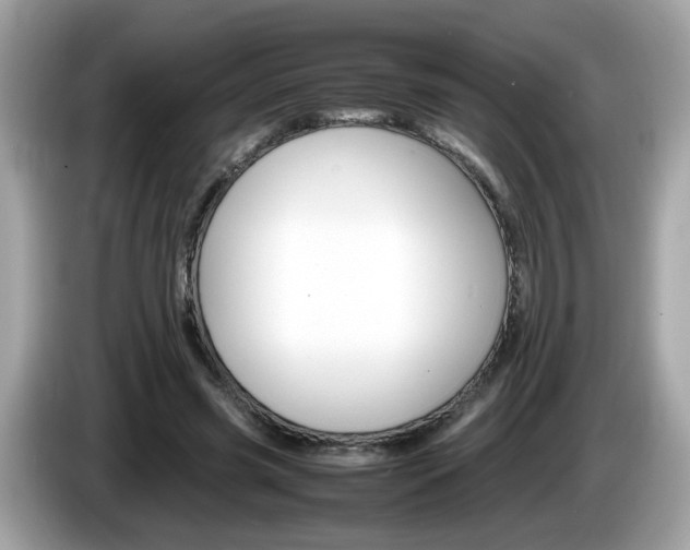 X0000086240541200703291007