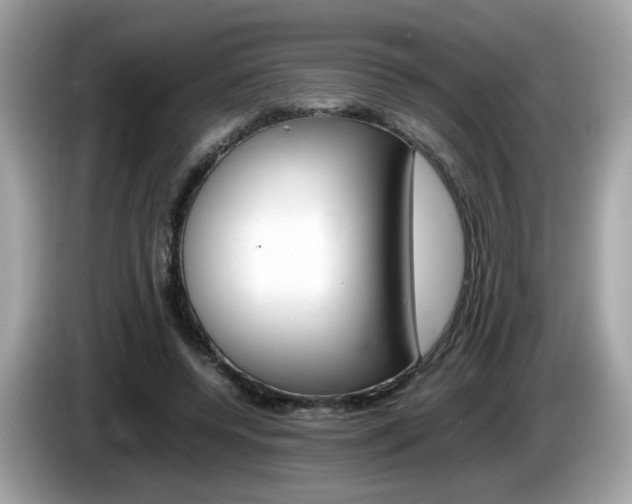 X0000086240544200703291007