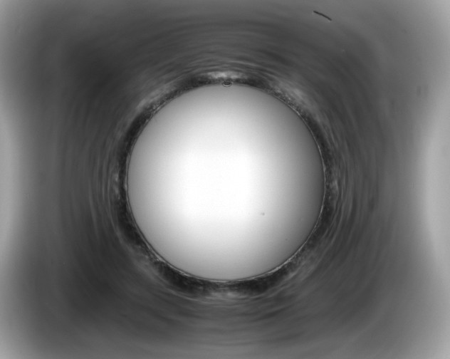 X0000086240547200703291007