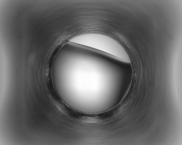 X0000086240548200703291007