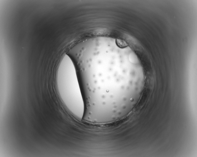 X0000086240550200703291007