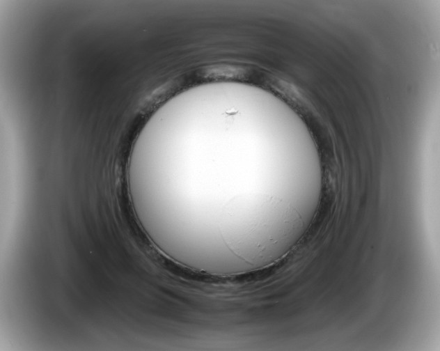 X0000086240551200703291007