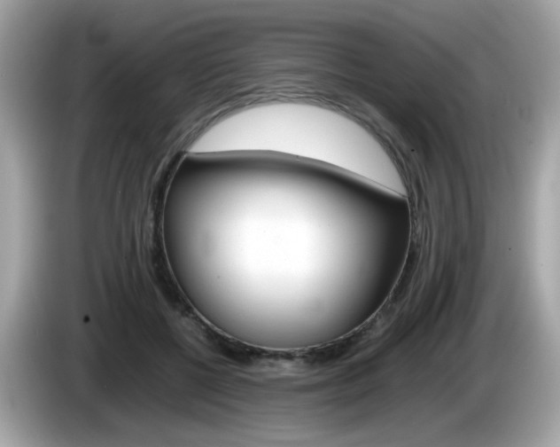 X0000086240552200703291007