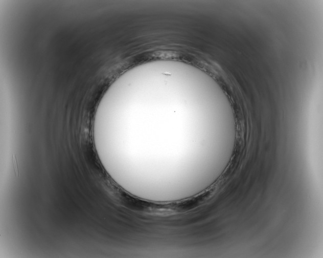 X0000086240553200703291007