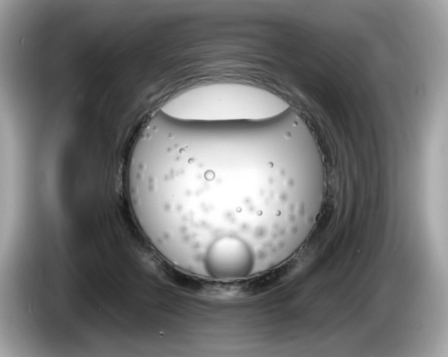 X0000086240554200703291007