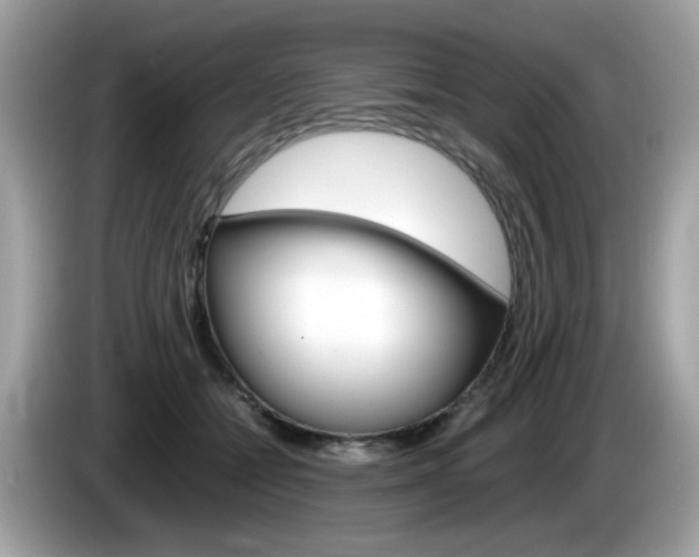 X0000086240558200703291007