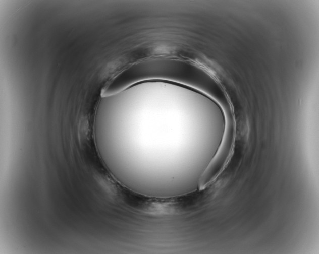 X0000086240560200703291007