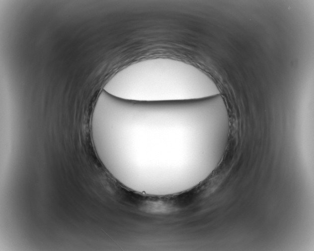 X0000086240561200703291007