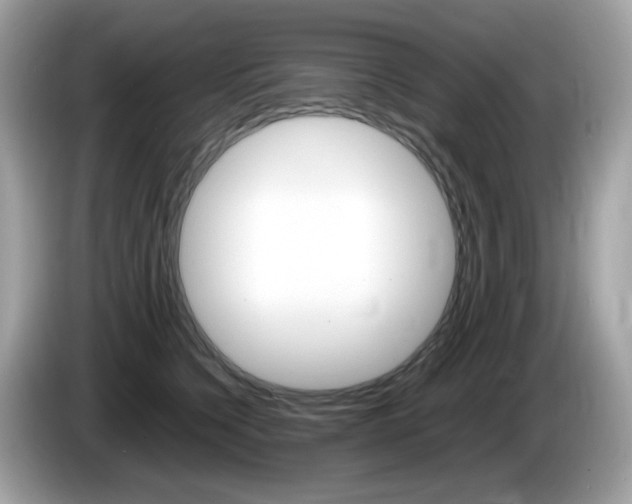X0000086240564200703291007