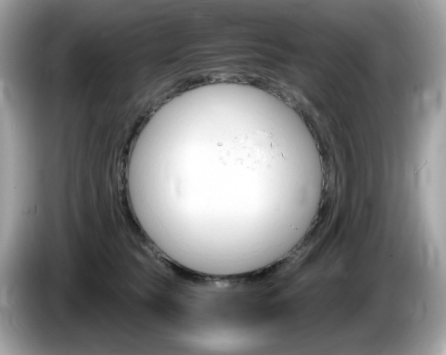 X0000086240565200703291007