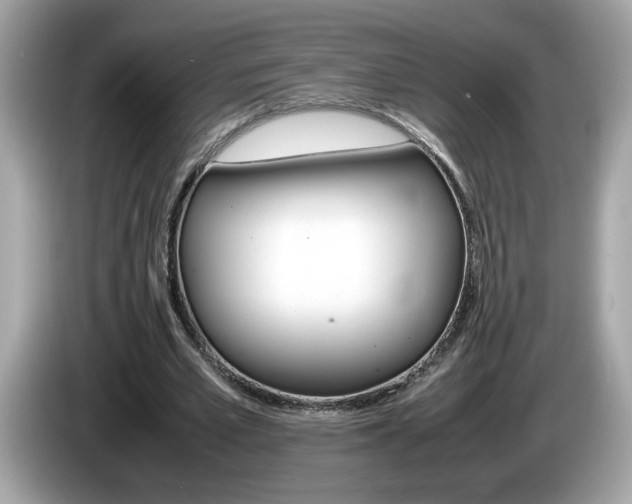X0000086240581200703291007