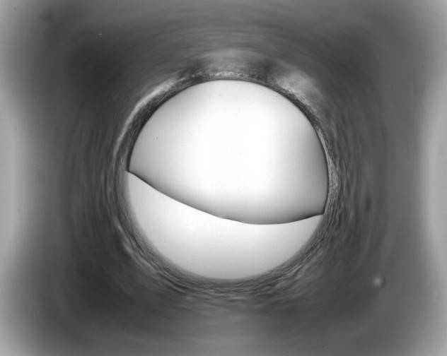 X0000086240583200703291007
