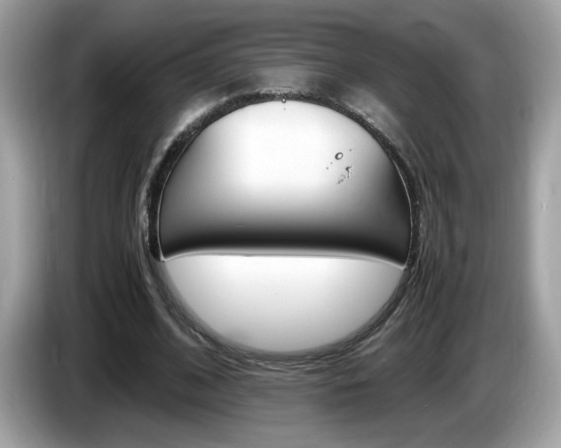 X0000086240584200703291007