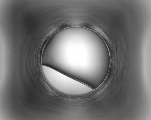 X0000086240585200703291007
