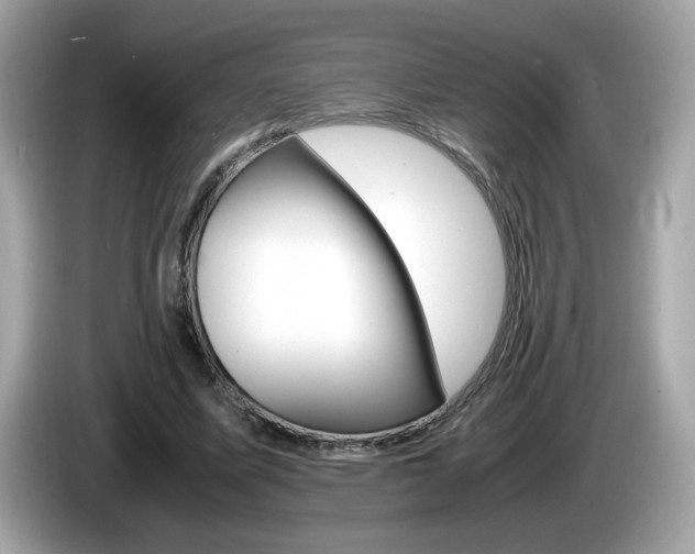 X0000086240587200703291007