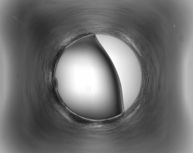 X0000086240589200703291007