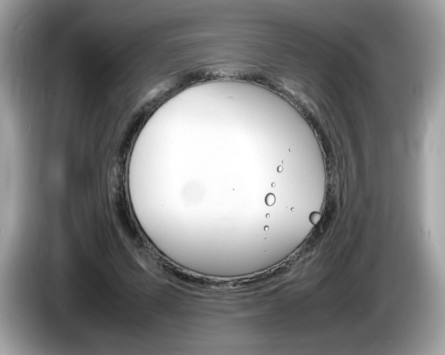 X0000086240591200703291007