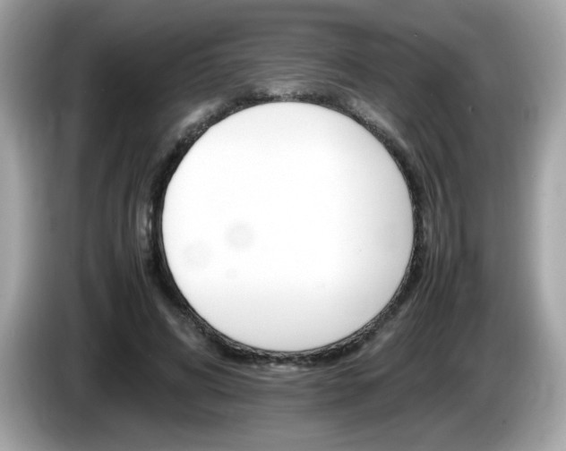 X0000086240592200703291007