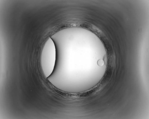 X0000086240594200703291007