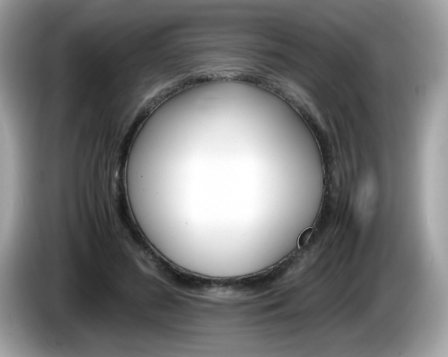 X0000086240596200703291007