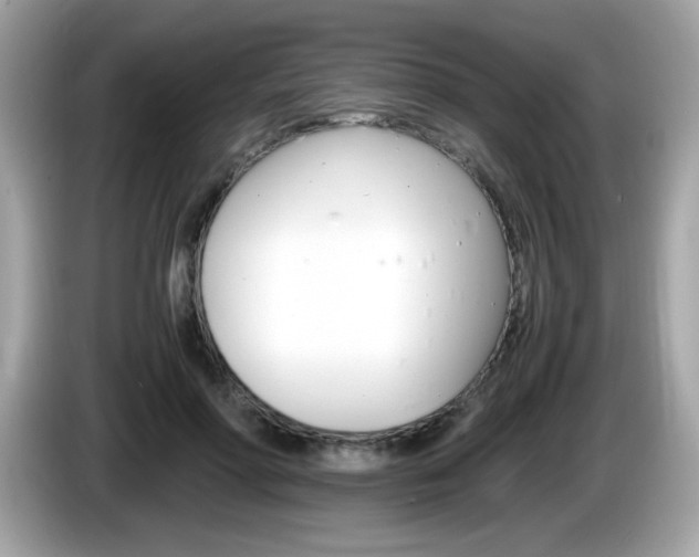 X0000086240598200703291007