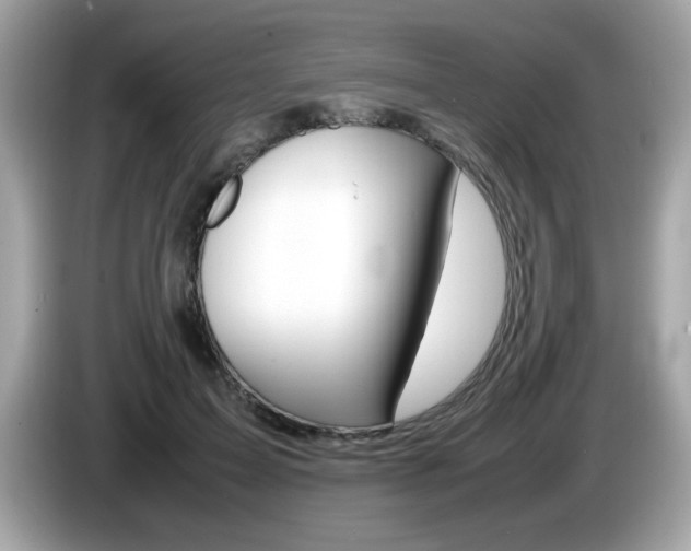 X0000086240599200703291007