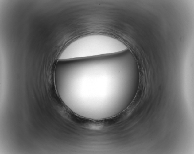 X0000086240604200703291007