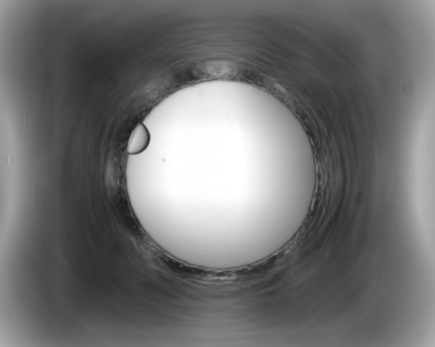 X0000086240606200703291006