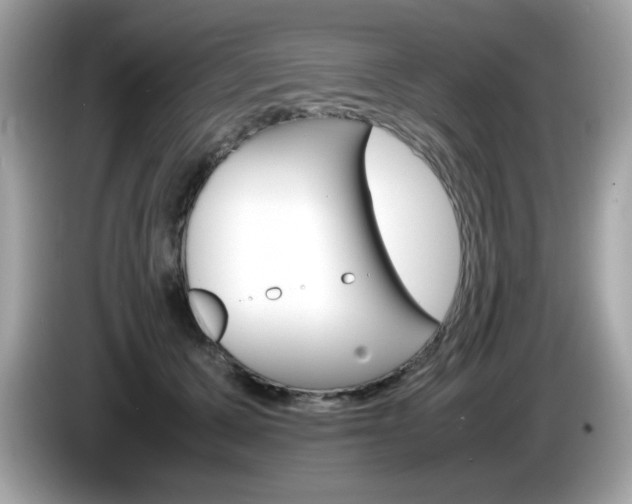 X0000086240607200703291006