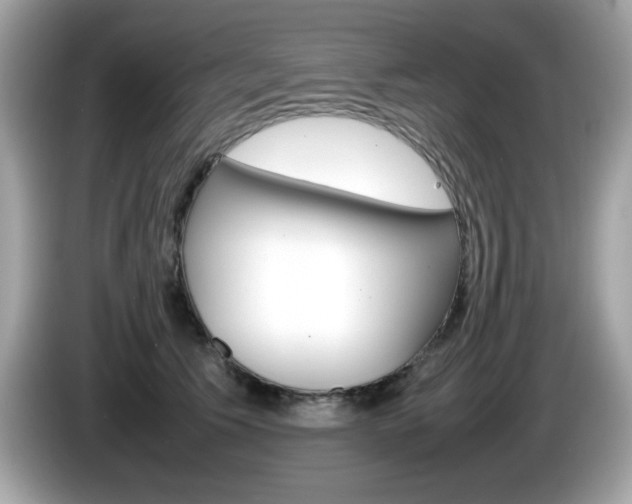 X0000086240609200703291006