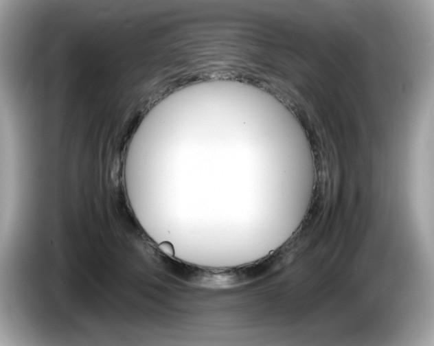 X0000086240610200703291006