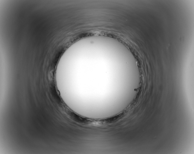 X0000086240611200703291006