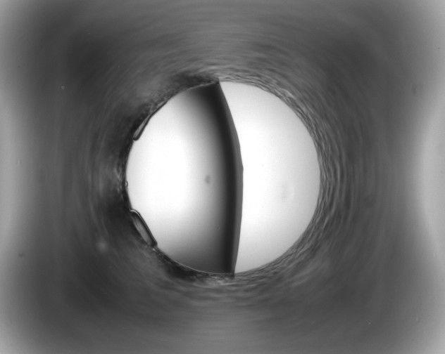 X0000086240613200703291006