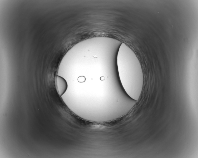 X0000086240614200703291006